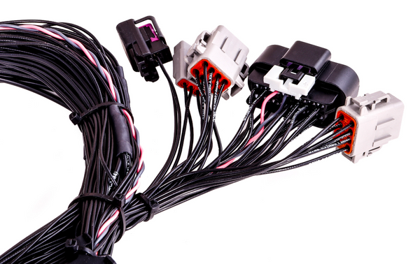 Maxx Pro ECU Chevrolet Corvette C6 (V8) PNP ECU