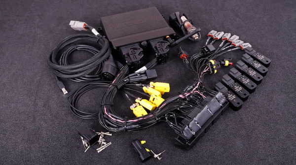 Maxx RACE ECU BMW M54 (MS42/43) PNP ECU