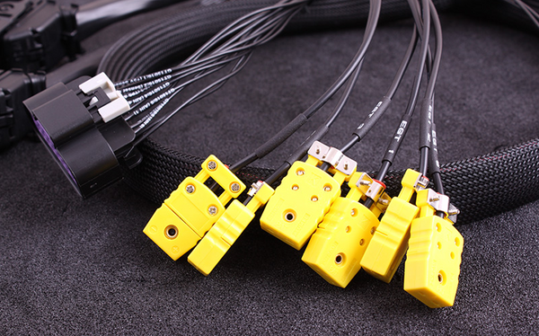 Maxx Race ECU Ford Focus Mk2 (JZDA/HYDA) PNP ECU