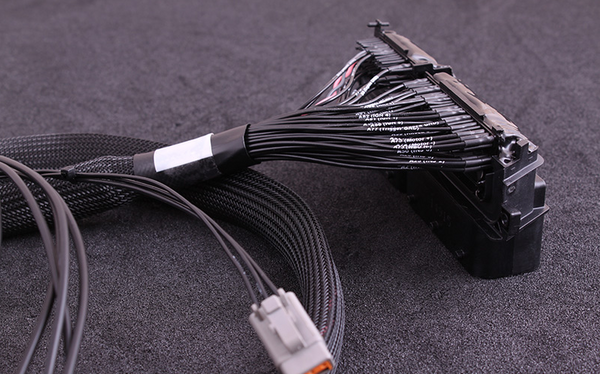 Maxx Race ECU Ford Focus Mk2 (JZDA/HYDA) PNP ECU