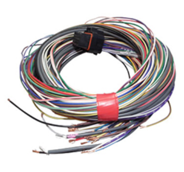 Link ECU Loom B (2.5m) - All wireIn ECUs, not required for Atom